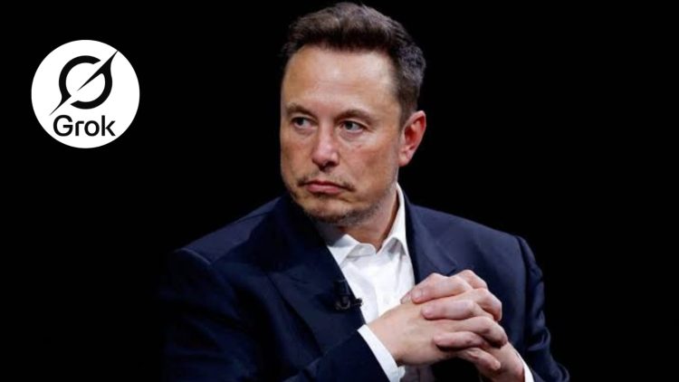 Elon Musk-Grok
