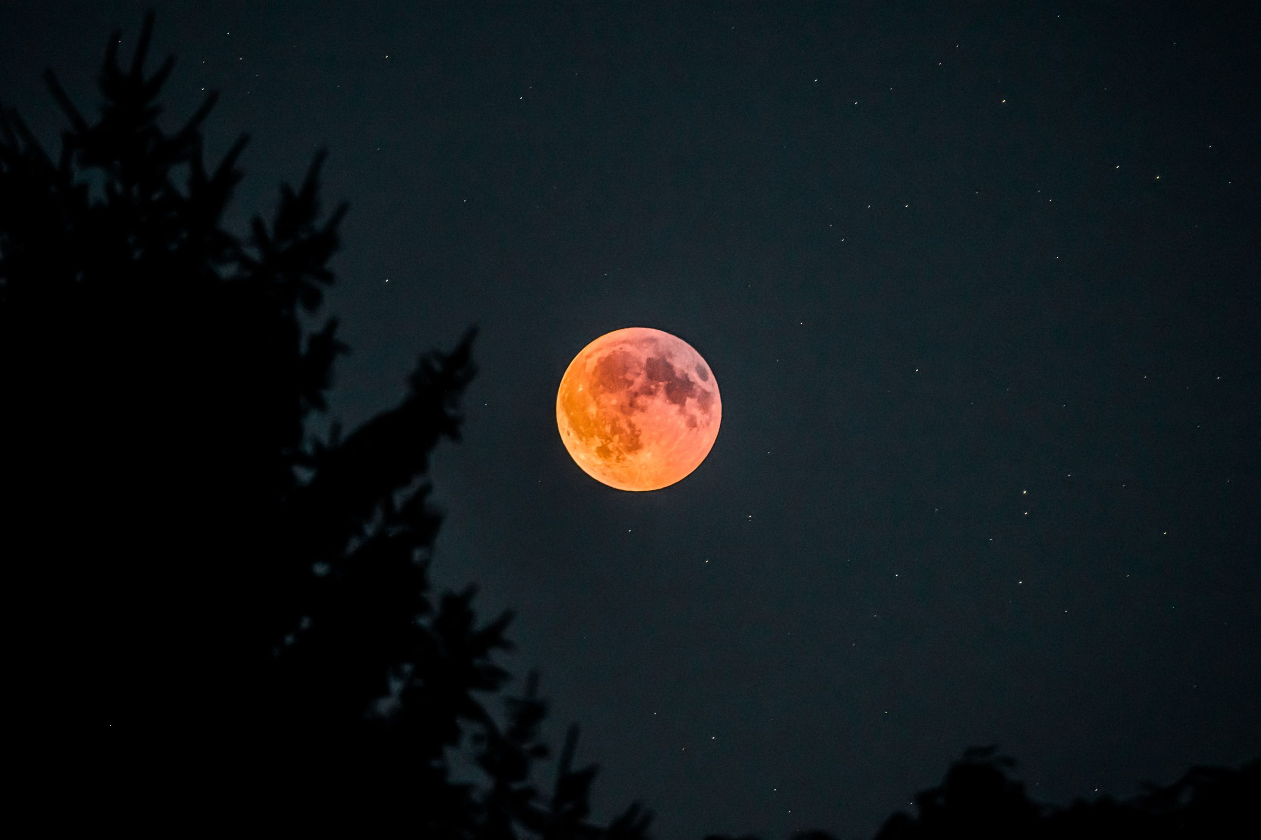 fenomena Strawberry Moon 2026