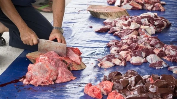 daging kurban