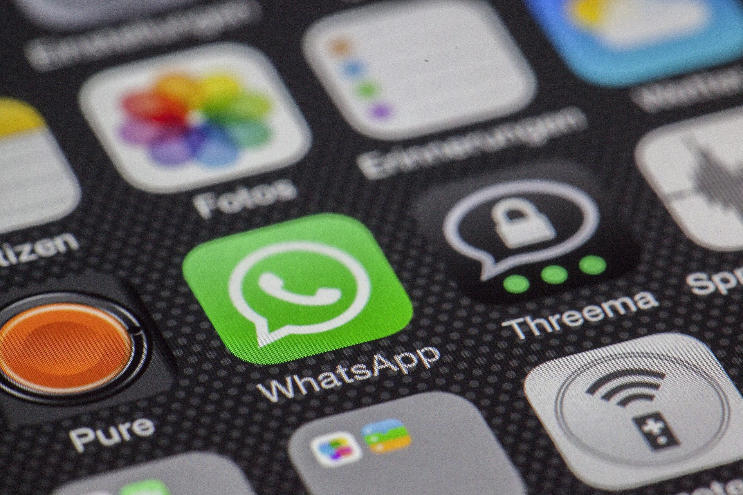 whatapps web